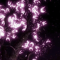 L'innaturale fioritura notturna di un albero di ciliegio, simulata attraverso l'incantesimo Trucchi maggiori.