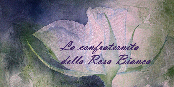 La Confraternita della Rosa Bianca