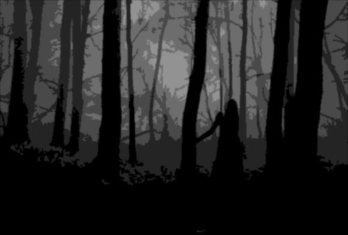 Donna nella foresta di notte - Immagine (Blog)