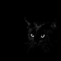 Gatto nero incontrato dai protagonisti della Campagna di Uryen nei sotterranei di Gultch