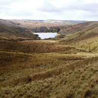Immagine che ritrae la parte occidentale della Landa di Clough, nella zona collinare che separa il Valico di Mulligan dalla Piana del Crepuscolo, che a sua volta conduce verso lo Sfagneto Cremisi.