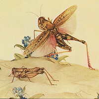 Immagine del Kreepar noto come Locusta dell'Abisso.