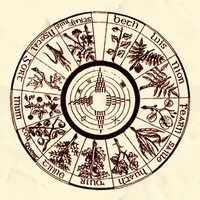 Immagine di una delle tante ruote oghamiche presenti sul territorio di Amer e Krandamer e legate ai culti di Ethmen-Ankh e Maarduk.