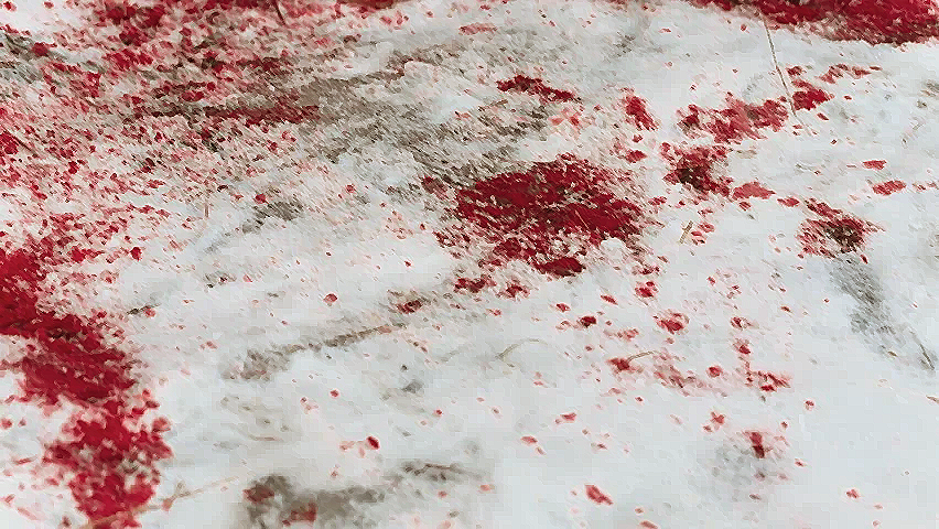 Sangue sulla Neve - Immagine