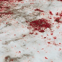 Sangue sulla neve: immagine utilizzata per il post [[?BlogID=55-1151|Rotture di Ghiaccio]] del blog [[?BlogID=55|Voci di Tramontana]].